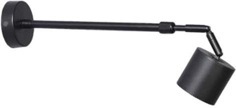 NASSMOSSE Lampes pour tableau mural, projecteur rotatif à 360 ° pour art mural avec bras rétractable, 10w 3000K, lumière blanche chaude pour cadre photo