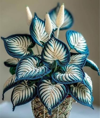 Bulbos de hosta/Rare/hosta fácil de cultivar/perenne/híbrida-4 Bulbos -B