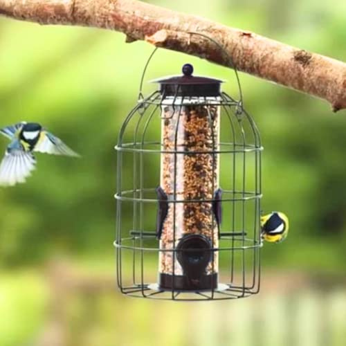 garden mile Wildvogel-Futterspender für Samen, zum Aufhängen an Bäumen, Terrassen oder Vogelfutterstationen in Ihrem Garten im Freien