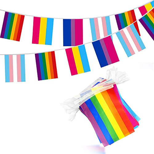 Banderas de orgullo gay, 40 unidades, banderas de orgullo impresas en color de 10 m, banderines bisexuales transgénero,para decoraciones de fiesta de orgullo LGBT (14 x 21 cm)
