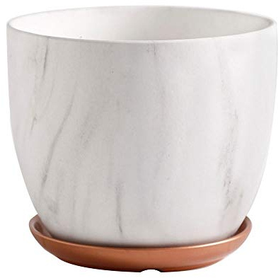 DSHUB Vaso da Fiori in Ceramica Cactus Vaso da Fiori da Tavolo succulento Marmo Modello Acqua Piante Contenitore Decorativo Stile Moderno e Minimalista Bacino per Mele Fioriera in Stile Nordico (S