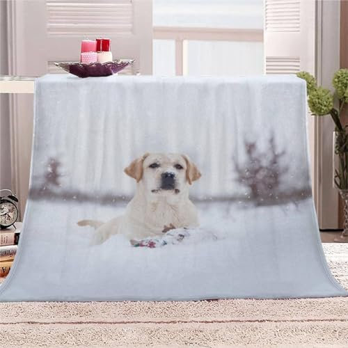 Kuscheldecke Flauschig 100x135 Hund 3D Decke Tierischer Winter Flanell Fleecedecke Weich und Warme Wohndecken Kuscheldecken Sofa Bett Überwurfdecke Sofadecke Couch Blanket Y1898