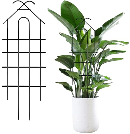 Enrejado para Plantas Trepadoras,Soporte para Plantas,Estructura para Enredaderas Trepadoras | para Interior Exterior Jardín Patio Balcón Invernadero Boda Vegetal Viña Terreno
