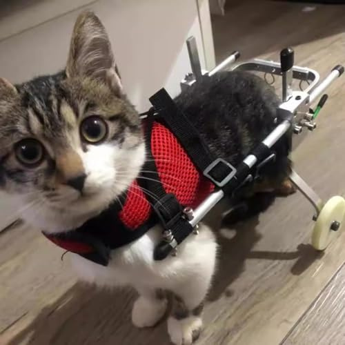 Silla de ruedas para gatos para patas traseras, silla de ruedas para mascotas de aluminio, equipo de ayuda a caminar, con ruedasCarrito.(tamaño: S)