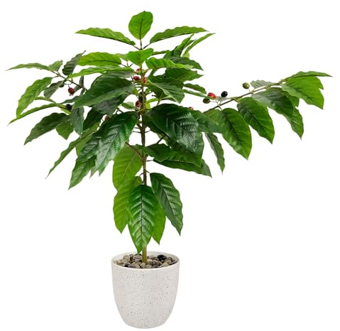 CAFEMASY Artificial Coffee Bean Plant Tree for Indoor & Outdoor Coffee Bar Counter Desktop Decorative Artificial Plants with Coffee Beans Fruits