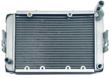 Radiatore ad acqua for macchina di raffreddamento adatta for LINHAI 300 400cc ATV Linhai LH300 CUV 4WD OEM 22904t 170M-A.11.