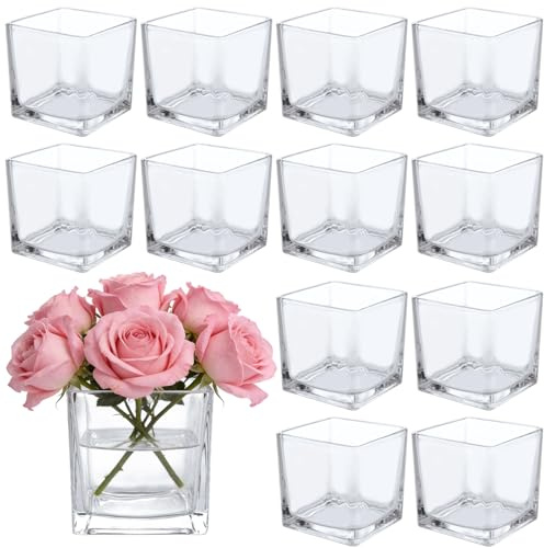 LDHHYH 12 Pack 3 x 3 x 3 Inch Square Glass Vases, Clear Square Vases for Centerpieces, Glass Cube Flower Vases Short Vases for Candle Holder Events Wedding Party Home Decoration