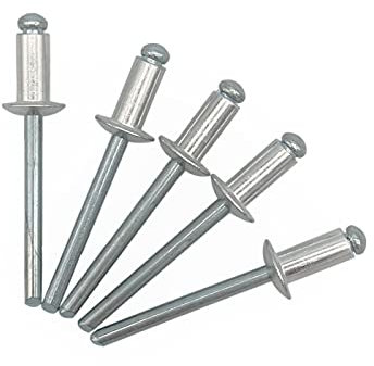 100 Stück Blindnieten 4,8 x 10 mm Kuppelkopf offen Typ DIN 7337 Aluminium Niet und Stahldorn Popnieten (100, 4,8 x 10 mm)