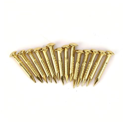 100 Stück Goldene Messingnägel Messing Rosettennägel Rundkopf Messing Brad Nagel Hardware Nagel Sortiment Kit Messing Wandstifte für Holz Zum Aufhängen von Bilderrahmen Spiegeln(Length 10mm)