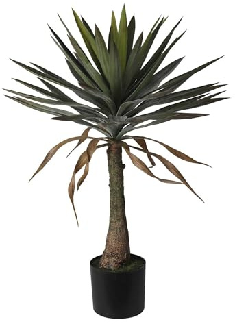 Well Home Plante de Yucca en Pot H.90 cm