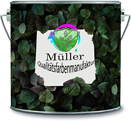 Müller Qualitätsfarbenmanufaktur Peinture de sol époxy - Revêtement de sol intérieur - Pour carrelage - béton - sol industriel - garage - cave, salon - résine coulée époxy (30, gris béton RAL 7023)