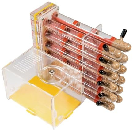 REEKOS Ameisenhaus Ameisenfarm Ameisenburg Gipsrohr Erwachsene Ant Farm Acryl Transparent Ant Beobachtung Verhalten Studie Live Ameisen Und Königin Ameisennest Ameisen Zucht Box
