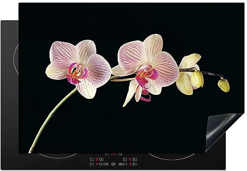 MuchoWow Herdabdeckplatte Ceranfeld Spritzschutz Küche Orchidee - Blumen - Schwarz - Rosa - Knöpfe 76x51.5 cm Induktionsherd Abdeckung Induktionskochfeld Ceranfeldabdeckung