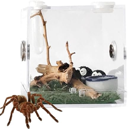 Reptilienzuchtbox - Transparente Box zur Insektenfütterung