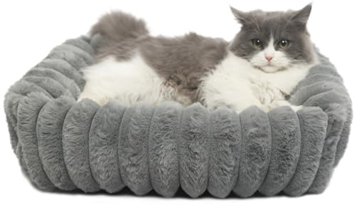 zihapgpzp Small Cat Beds for Indoor Cats Washable Furry Kitten Beds with Sides,Rectangle Orthopedic Soft Calming Comfy Sleeping Extra Small Pet Beds for Cats Dogs Puppy,18x14x4 Inch,Warm Grey