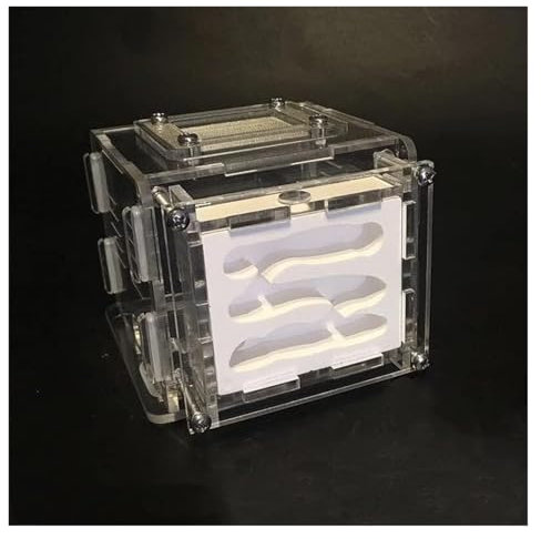 JYARZ Ameisennest Ant Farm Ameisennest-Farm DIY Gips Ameisenfarm Gips Ameisennest Mit Fütterungsbereich Befeuchten Ökologische Ameisenwerkstatt Ameisen Haus Ants' Nest(S)