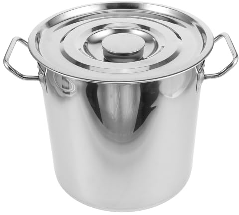 TOYANDONA Marmite en Acier Inoxydable 201 de 3,0 Mm Ø25 X H25 Cm avec Couvercle et Doubles Poignées, Petite Casserole Multifonction pour Soupe, Ragoût et Cuisson, Ustensile Cuisine Solide