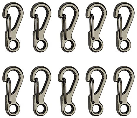 Temlum Aluminium Karabinerhaken, 2,5 cm Mini Karabiner Set, Karabinerhaken mit Schnapp Verschluss, Schlüsselanhänger Haken für Camping, Reisen, Wandern (Grau, 10 Stück)