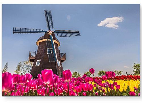Paul Sinus Art Leinwandbilder | Bilder Leinwand 120x80cm Tulpenfeld mit Windmühle