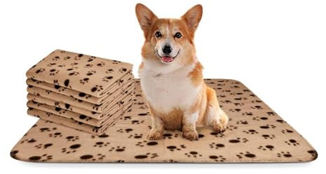 Nobleza - 6 x Hundedecke Weiche Fleecedecke Waschbare Deck für Haustier Hunde Katzen Welpen Weiche Warme Matte, Beige, 75 * 75cm
