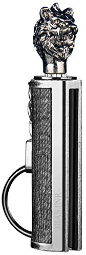BIASTNR Permanent Match Keychain Lighter, Flint Matchstick Fire Starter Lighter, Reusable Flint Waterproof Camping Emergency Survival Gear (Lion)