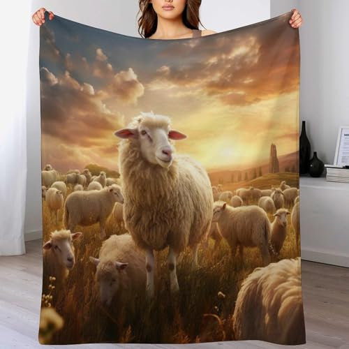 AAPZY Schaf Kuscheldecke Couchdecke Decke Aus Flannel - Tagesdecke Wohndecken Für Sofa, Couch Oder Als Bettüberwurf - Waschbare Decke （130×180cm）
