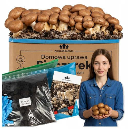 Champignon Zuchtset 8 kg – Frische Pilzkultur brauner Champignons für Zuhause – Komplettset mit Myzel, Torf-Abdeckung, Anleitung & Kartonbox – Einfacher Pilzanbau zum Selberzüchten + Gratis