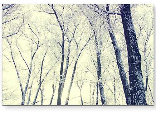 Paul Sinus Art Leinwandbilder | Bilder Leinwand 120x80cm verschneite Winterlandschaft