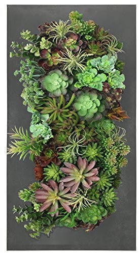 Modern Home Living Wand-Pflanzgefäß, verzinkter Stahl/Zink für Sukkulenten, Wandmontage, Garten, Taschen-Übertopf (12 Taschen, schwarzes Zink)