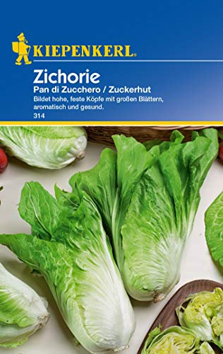 Kiepenkerl Zichoriensalat Zuckerhut