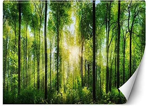 Feeby Fototapete Moderne Wanddeko Wandbild Sonnenstrahlen Wald 350x245 cm Grün Wandtapete Design Kinderzimmer Küche Büro Flur Wohnzimmer Natur Bäume Pflanzen