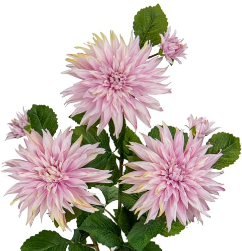 Hollyone 3PCS Rosa künstliche Dahlie Blumen, 75cm gefälschte große Seidenblumen mit langem Stiel für Florale Arrangements, Faux Dahlien Blumen für DIY Hochzeit Party Mittelstücke Haus Büro Dekoration