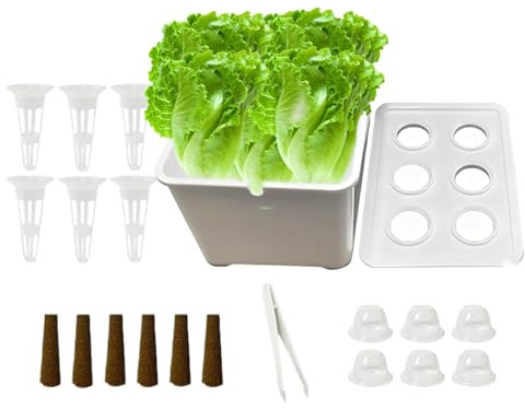 Generico Kit Coltivazione Set Completo Coltivazione Tutto L'Anno