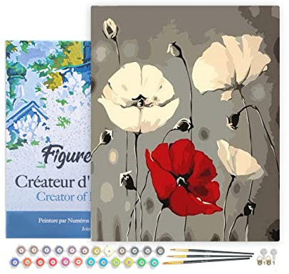 Figured'Art Peinture par Numéro Adulte avec Cadre Fleurs rouge et blanches - Activité Manuelle Kit de Loisir Créatif DIY Numéro d'Art Complet - 40x50cm toile tendue sur châssis