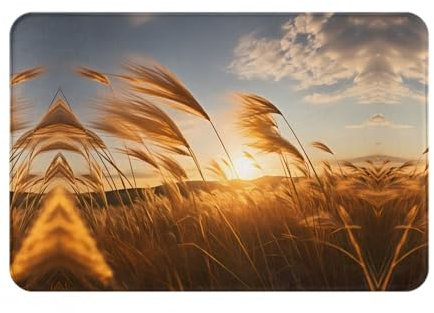 WZYWHJ Anti-Slip Doormat 16 x 24 in Floor mat Rugs Easy to Clean Suitable for Front Door, Living Room, Bathroom Reeds in The Wind Printed