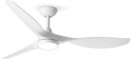 Roomratv Ceiling Fans with Lights,Large Airflow 52inch Modern Ceiling Fan with Quite Reversible DC Motor 3 Color Temperature LED Light (White)