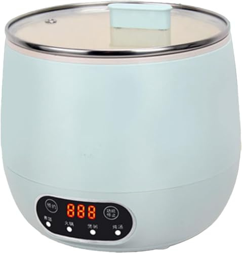 MISKYN Petit Cuiseur À Riz Électrique De 1,6 L pour 2 Personnes, Entièrement Automatique avec Pot À Riz Antiadhésif Amovible