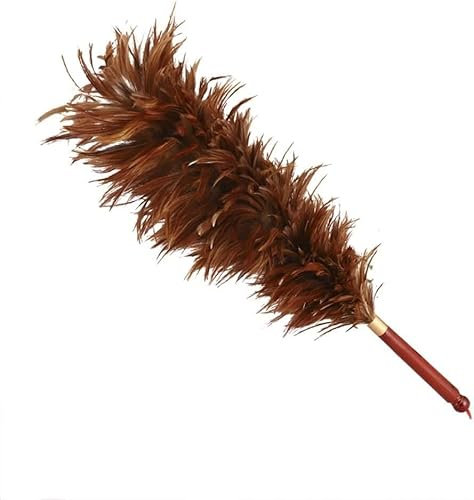 Plumeau, brosse de nettoyage plumeau de poulet, plumes de poulet de 15,75 pouces avec manche en bois, réutilisable et lavable for voiture canapé meubles draps de lit maison usage quotidien brosses à r