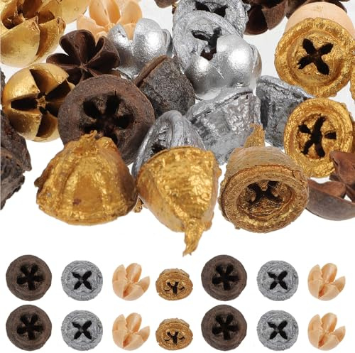 TOYZFRIENDY Getrocknete Eukalyptusfrüchte 35 Stück Kleiner Eukalyptus Deko Bruchfestes Bastelmaterial für Weihnachtskränze Girlanden Foto Requisiten Festliche Dekoration