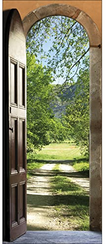 Porta adesiva Trompe l'oeil, decorazione da parete in polivinile, multicolore, 83 x 0,1 x 204 cm, 141057