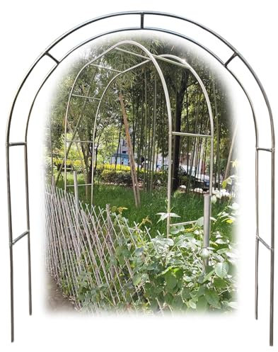 Arche de jardin en acier inoxydable - Grande tonnelle d'extérieur pour roses grimpantes et fruits - Cadre de support résistant aux intempéries (taille : 2,6 x 2,4 m)