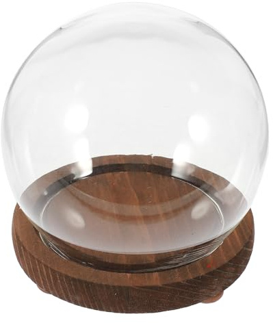 BIUDECO Cloche en Verre Sphérique Transparente avec Socle en Bois Vintage Dôme Décoratif pour Fleurs Séchées Terrarium Micro-Paysage et Décor de Table Accessoire Jardinage et Plantes