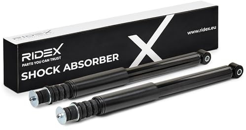 RIDEX 2x Amortisseur Arrière 2x Jeu, Pression de gaz Compatible avec RENAULT Clio III 3/5 portes BR0/1, CR0/1 Modus/Grand Modus F, JP Zoe BFM Clio III Grandtour KR0/1 Clio III Van SB, SR