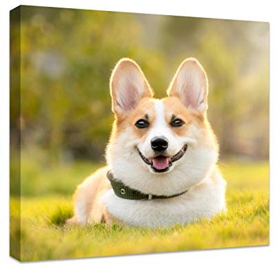Personalized Photo to Canvas Print - Canvas Prints With Your Photos on Custom Wall Art for Bedroom, Living Room, Wedding Baby Pet Family Picture Framed Wall Art (8 W x 8 H)