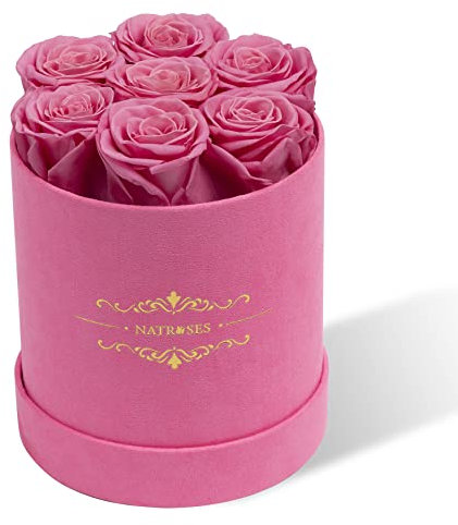 NATROSES 7 Piece Preserved Roses in a Box, Preserved Flowers for Birthday, Flower Gifts for Mothers Day (Pink)