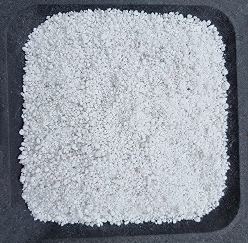 AlmaStore Perlite per Piante in vaso | 3 Litri, 5 Litri, 10 Litri | Agriperlite per Piante Grasse Orchidee Pianta Carnivore Talee | Substrato da Giardino Orto (10 Litri)