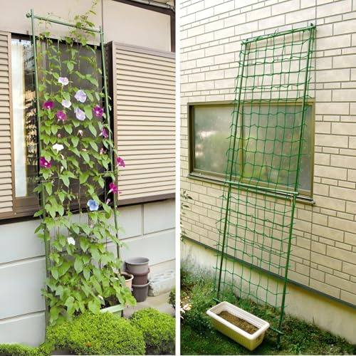 Treillis de jardin en métal pour parterres surélevés, filet d'escalade amovible pour plantes d'extérieur, concombres, fleurs, légumes (160 x 240 cm) et support polyvalent