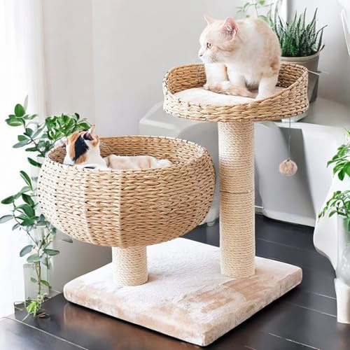 Grattoir à feuilles de bananier avec sisal naturel, arbre d'escalade pour chat, colonne en sisal Ø 8 cm, hauteur 55 cm, beige