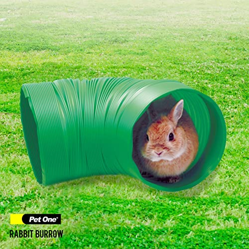 Pet One Grüner Tunnelbau für Kaninchen, Meerschweinchen und Frettchen – 20 cm Durchmesser x 80 cm
