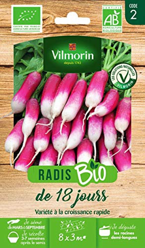 Vilmorin - Radis de 18 Jours Bio - variété Traditionnelle et précoce - se développe Rapidement - rendement jusqu'à 6 Bottes/m²